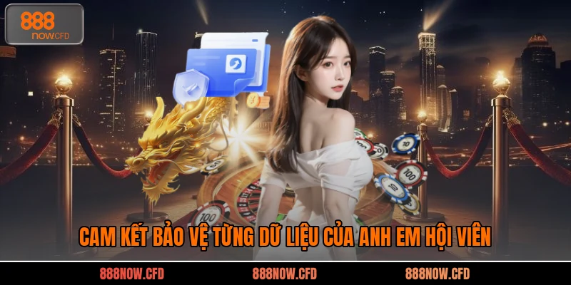 Cam kết bảo vệ từng dữ liệu của anh em hội viên