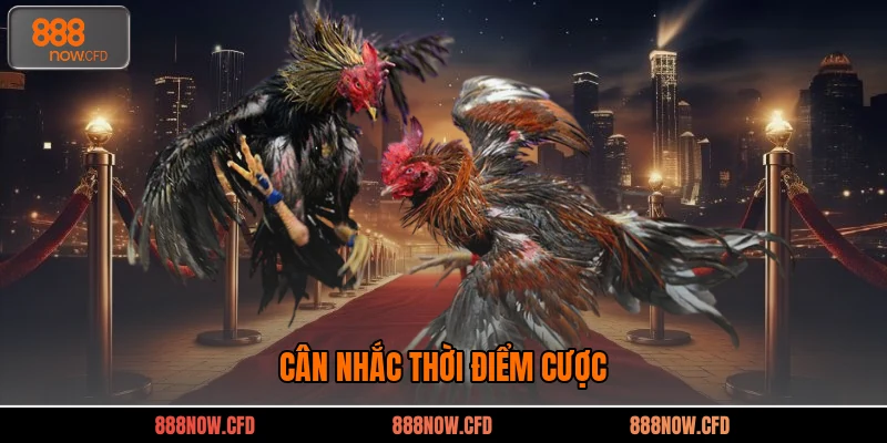 Cân nhắc thời điểm cược