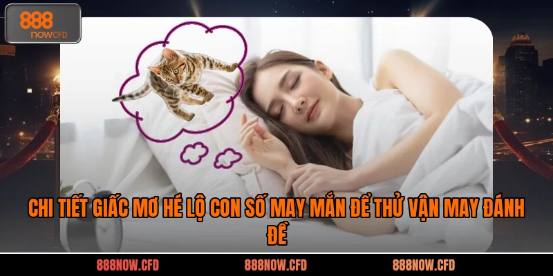 Chi tiết giấc mơ hé lộ con số may mắn để thử vận may đánh đề