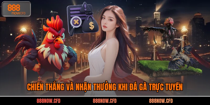 Chiến thắng và nhận thưởng khi đá gà trực tuyến