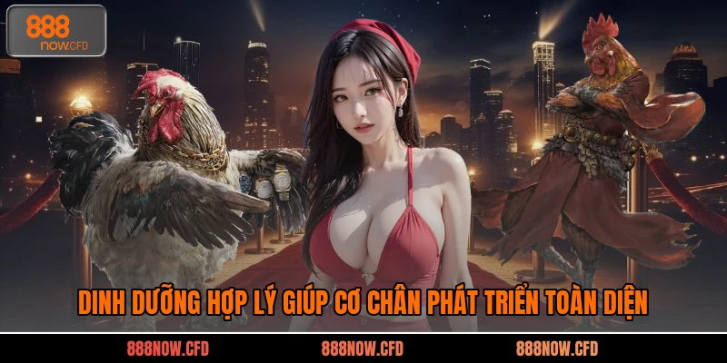 Dinh dưỡng hợp lý giúp cơ chân phát triển toàn diện