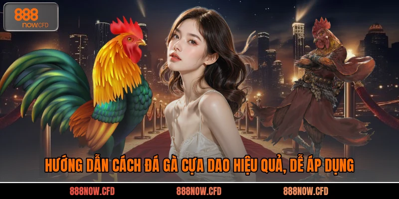 Hướng Dẫn Cách Đá Gà Cựa Dao Hiệu Quả, Dễ Áp Dụng