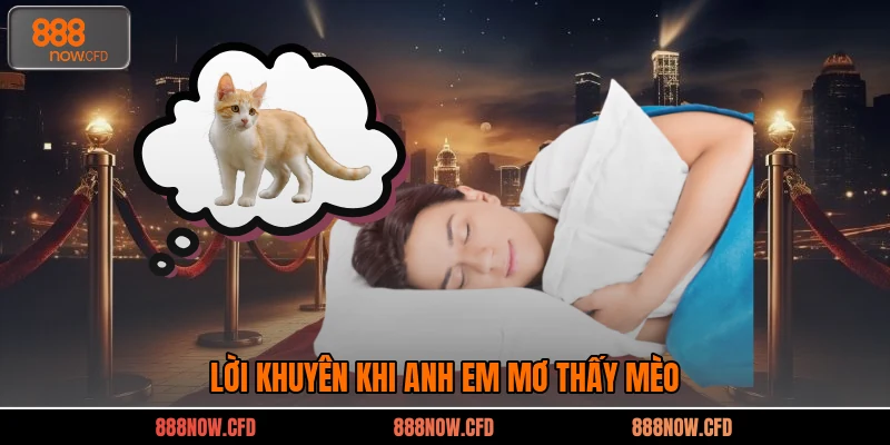 Lời khuyên khi anh em mơ thấy mèo