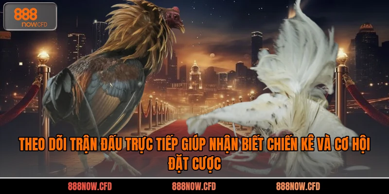 Theo dõi trận đấu trực tiếp giúp nhận biết chiến kê và cơ hội đặt cược