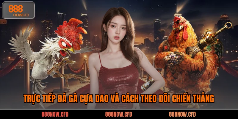 Trực Tiếp Đá Gà Cựa Dao Và Cách Theo Dõi Chiến Thắng